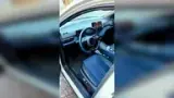 BYD Dolphin Mini - Miniatura 10