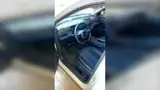 BYD Dolphin Mini - Miniatura 11