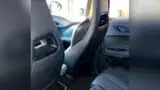 BYD Dolphin Mini - Miniatura 12