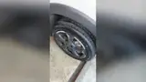 BYD Dolphin Mini - Miniatura 13