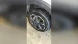 BYD Dolphin Mini - Miniatura 14
