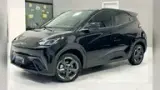 BYD Dolphin Mini - Miniatura 3