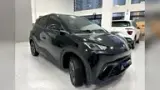 BYD Dolphin Mini - Miniatura 7