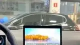 BYD Dolphin Mini - Miniatura 13