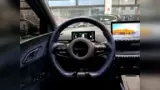 BYD Dolphin Mini - Miniatura 16