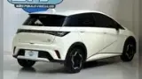 BYD Dolphin - Miniatura 16