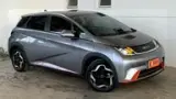 BYD Dolphin - Miniatura 1