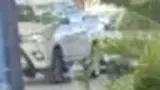 BYD Dolphin - Miniatura 6