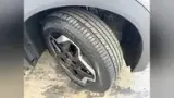 BYD Dolphin - Miniatura 14