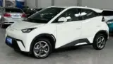 BYD Dolphin Mini - Miniatura 2