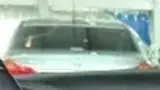 BYD Dolphin Mini - Miniatura 5