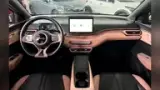 BYD Dolphin Mini - Miniatura 8