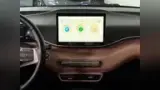 BYD Dolphin Mini - Miniatura 9