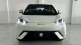 BYD Dolphin Mini - Miniatura 1