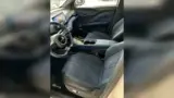 BYD Dolphin Mini - Miniatura 8