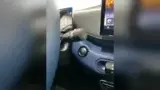 BYD Dolphin Mini - Miniatura 10