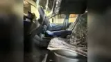 BYD Dolphin - Miniatura 8