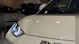 BYD Dolphin - Miniatura 9
