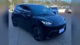 BYD Dolphin Mini - Miniatura 1
