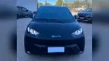 BYD Dolphin Mini - Miniatura 3