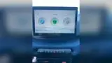 BYD Dolphin Mini - Miniatura 14