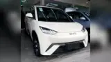 BYD Dolphin Mini - Miniatura 1