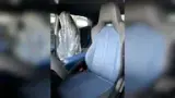 BYD Dolphin Mini - Miniatura 9