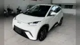 BYD Dolphin Mini - Miniatura 1