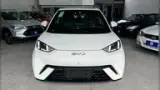 BYD Dolphin Mini - Miniatura 3