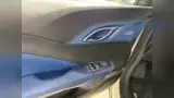 BYD Dolphin Mini - Miniatura 5
