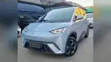 BYD Dolphin Mini - Miniatura 1