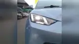 BYD Dolphin Mini - Miniatura 9