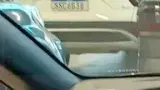 BYD Dolphin - Miniatura 7