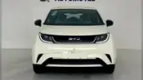 BYD Dolphin - Miniatura 1