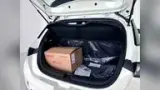 BYD Dolphin - Miniatura 7