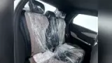 BYD Dolphin - Miniatura 9