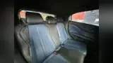 BYD Dolphin Mini - Miniatura 7
