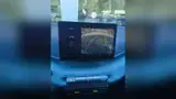 BYD Dolphin Mini - Miniatura 7