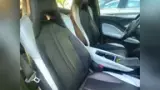 BYD Dolphin Mini - Miniatura 12