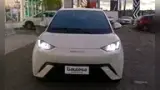 BYD Dolphin Mini - Miniatura 1