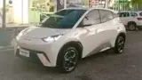 BYD Dolphin Mini - Miniatura 2