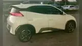 BYD Dolphin Mini - Miniatura 3