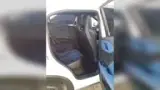 BYD Dolphin Mini - Miniatura 7