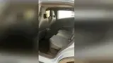 BYD Dolphin Mini - Miniatura 14