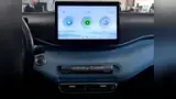BYD Dolphin Mini - Miniatura 2