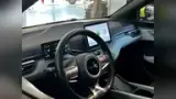 BYD Dolphin Mini - Miniatura 12