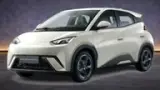 BYD Dolphin Mini - Miniatura 2