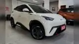 BYD Dolphin Mini - Miniatura 2