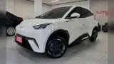 BYD Dolphin Mini - Miniatura 4