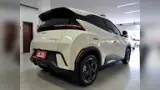 BYD Dolphin Mini - Miniatura 5